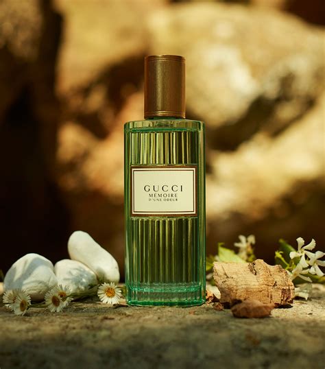 gucci memoire heren|Gucci memory of one odeur.